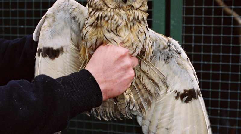 Birds of a Feather: Photography Unearths Joy Amidst Addictions