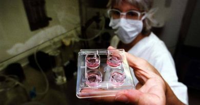 «L’utero in affitto diventi reato universale»: via libera alla proposta. Ecco cosa significa