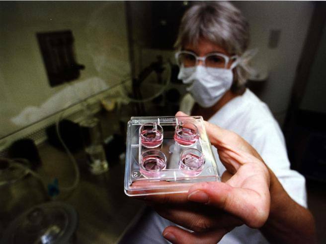 «L’utero in affitto diventi reato universale»: via libera alla proposta. Ecco cosa significa