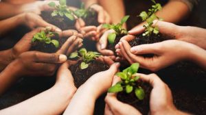 Giornata della Terra 2022: cos’è e cosa si festeggia