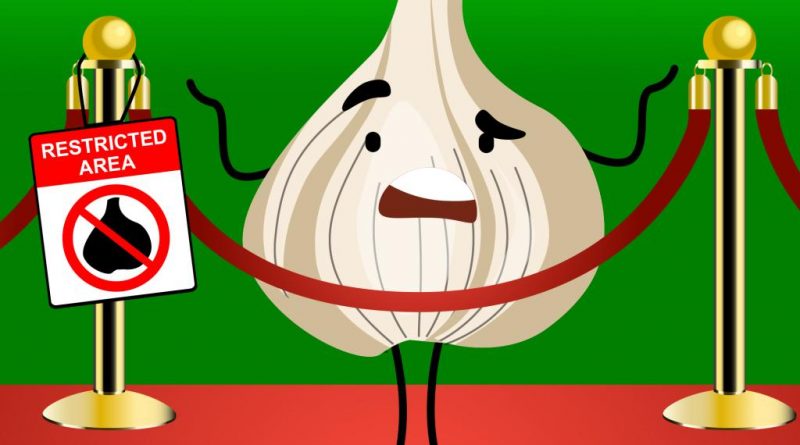 Breaking news: Snobby NYC restaurants too good for garlic: ‘It’s Italian-American, not Italian’ – New York Post