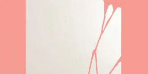 “Amore, narcisismo e gatti”