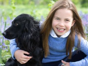 See Princess Charlotte’s Official 7th Birthday Portraits