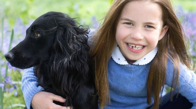 See Princess Charlotte’s Official 7th Birthday Portraits
