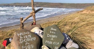 La tomba di Dobby di Harry Potter potrebbe essere rimossa: “Troppi calzini lasciati in spiaggia”