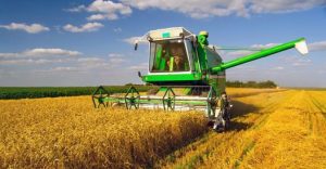 Guerra in Ucraina, tonnellate di grano ferme sul Mar Nero: rischio di una «crisi globale della fame»