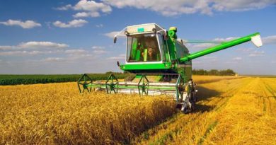 Guerra in Ucraina, tonnellate di grano ferme sul Mar Nero: rischio di una «crisi globale della fame»