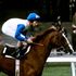 Horse racing world pays tribute to ‘legend’ Lester Piggott following jockey’s death