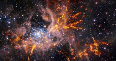 Grazie ad ALMA di ESO scoperti nuovi dettagli della Nebulosa Tarantola