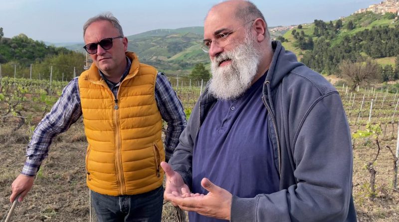 Tra vigne e biodiversità, viaggio in Basilicata