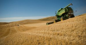 Ucraina, Mosca continua a rubare il grano. L’ambasciatore di Kiev ad Ankara: “La Turchia sequestri cargo russo carico di cereale”