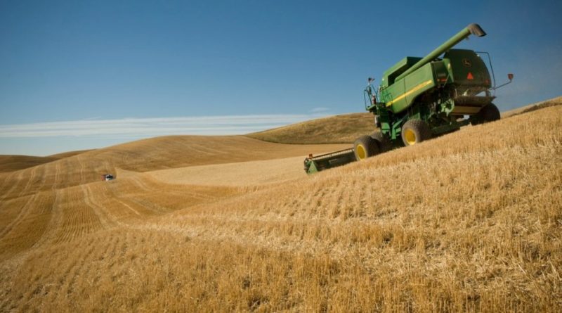 Ucraina, Mosca continua a rubare il grano. L’ambasciatore di Kiev ad Ankara: “La Turchia sequestri cargo russo carico di cereale”