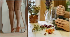 Guida alla prova costume, ecco come intervenire con piante e preparati ad hoc contro cellulite e buccia di arancia: “In primis centella e pungitopo”