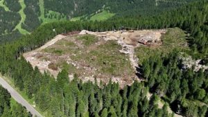 Bosco abbattuto per creare un bacino d’acqua: servirà per le piste da sci