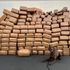 ‘A very good boy’: Police dog uncovers 5,000lbs of meth – one of the biggest busts in San Diego history