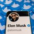 Twitter sues Musk accusing him of ‘trashing company’ after he pulled out of $44bn deal