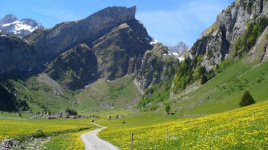 Non solo alte vie, la montagna si vive anche a fondovalle: i consigli della guida alpina