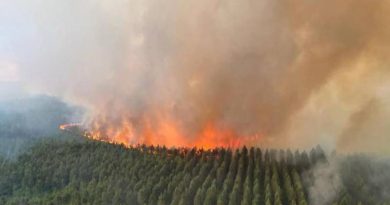 Caldo estremo, ondata di incendi in Europa: in fumo 350mila ettari di boschi.