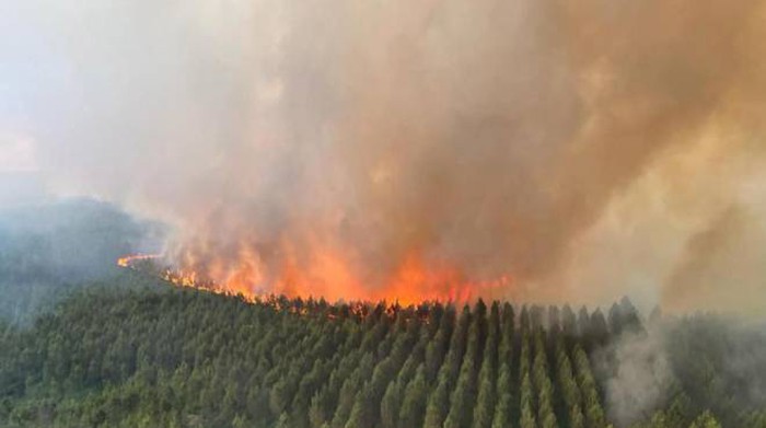 Caldo estremo, ondata di incendi in Europa: in fumo 350mila ettari di boschi.