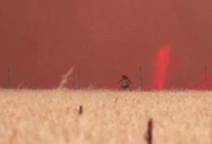 Sfugge per un pelo alle fiamme: l’agricoltore è nel campo, l’incendio rapidissimo lo accerchia