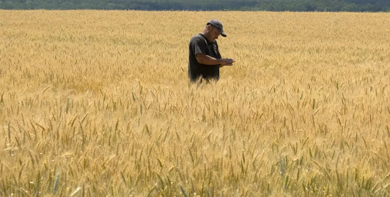 C’è un accordo per sbloccare il grano ucraino