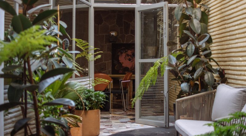 Questo Airbnb di Città del Messico è una gemma nascosta per gli amanti del design