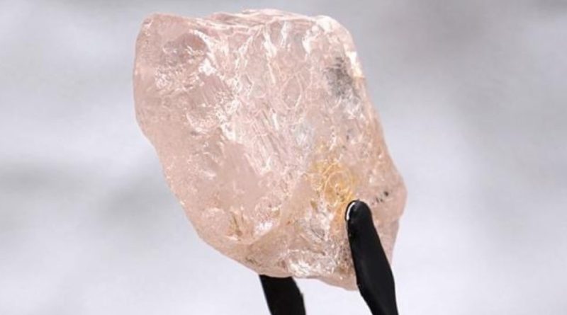 Il più grande diamante rosa degli ultimi 300 anni trovato in Angola: si chiama Lula Rose
