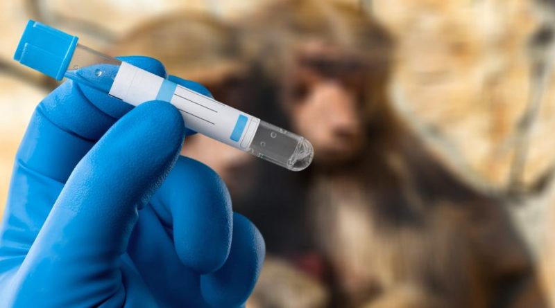 Vaiolo delle scimmie, dal Lazio al Veneto: ecco dove ci si può vaccinare