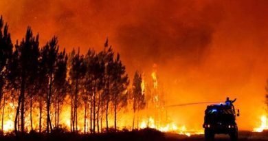 Francia, non si fermano gli incendi in Gironda: evacuate 10 mila persone