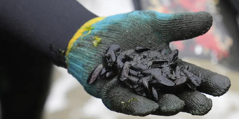Il Perù ha chiesto 4,5 miliardi di dollari di risarcimento a Repsol per il disastro ambientale provocato a gennaio dalla fuoriuscita di petrolio da una delle sue raffinerie