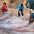 Skeleton of 82ft-long dinosaur found in man’s backyard