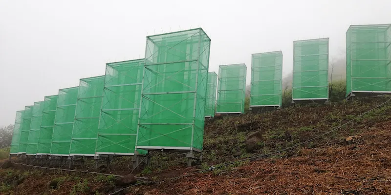 Alle Canarie si raccoglie la nebbia