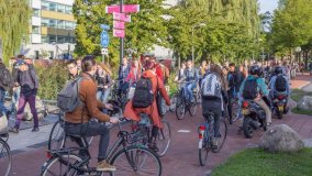 Se tutti usassimo la bici come gli olandesi risparmieremmo 686 milioni di tonnellate di CO2 l’anno