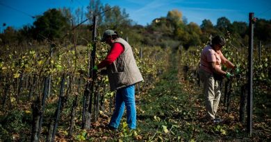 Permessi di lavoro extra Ue, Italia a quota 50mila nel 2021