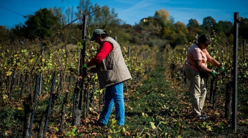 Permessi di lavoro extra Ue, Italia a quota 50mila nel 2021