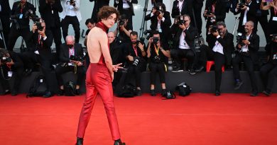 Timothée Chalamet Causes Transoceanic Commotion With Backless Outfit in Venice