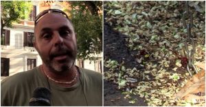 Vespa orientalis a Roma, la diffusione favorita dal caldo e dalla presenza di rifiuti. L’etologo: “Evento singolare, una vera invasione”