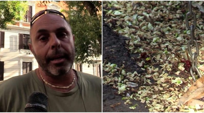 Vespa orientalis a Roma, la diffusione favorita dal caldo e dalla presenza di rifiuti. L’etologo: “Evento singolare, una vera invasione”