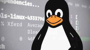 Linux, attenzione al kernel 5.19.12: può danneggiare lo schermo di alcuni portatili