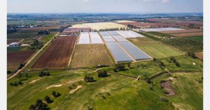 Breaking news: Op Altamura rafforza la sua presenza nel Sud Italia – FreshPlaza.com