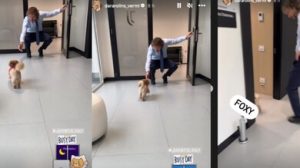 Nedved, il vicepresidente Juve, e la visita speciale in sede