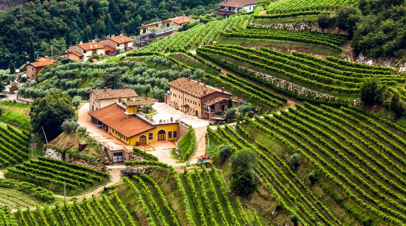 Breaking news: Vino 101: immersione nella regione italiana Valpolicella – VinePair