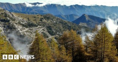 Breaking news: Il velista Jamie Mears è morto in Italia in una caduta in mountain bike – BBC