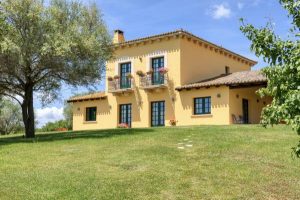 Breaking news: Il vigneto in Sardegna emana un fascino rustico – Forbes