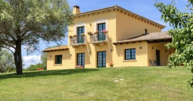 Breaking news: Il vigneto in Sardegna emana un fascino rustico – Forbes