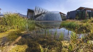Il biotopo del Muse a Trento, la “casa” delle specie rare