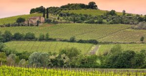 Wine Spectator 2022, secondo posto a un Brunello del 2016. Venerdì il vincitore