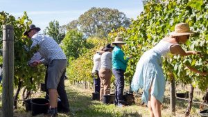 Breaking news: L’Australia teme di perdere la sua frizzantezza mentre l’Italia rivendica il prosecco – The Times