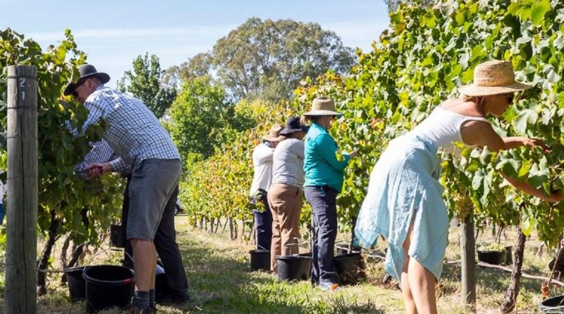 Breaking news: L’Australia teme di perdere la sua frizzantezza mentre l’Italia rivendica il prosecco – The Times