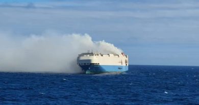 Cola a picco la blockchain per le spedizioni navali di IBM e Maersk